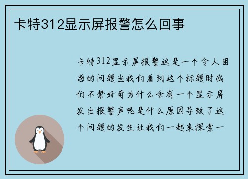 卡特312显示屏报警怎么回事