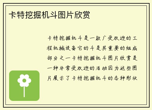 卡特挖掘机斗图片欣赏