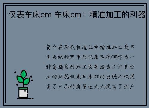 仅表车床cm 车床cm：精准加工的利器